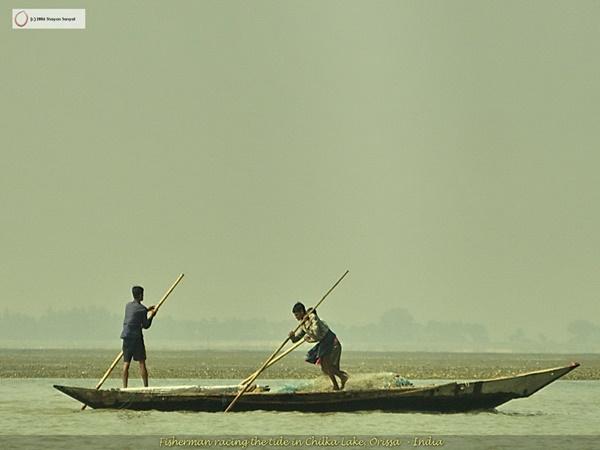 சில்கா - இயற்கையின் இசைவு!