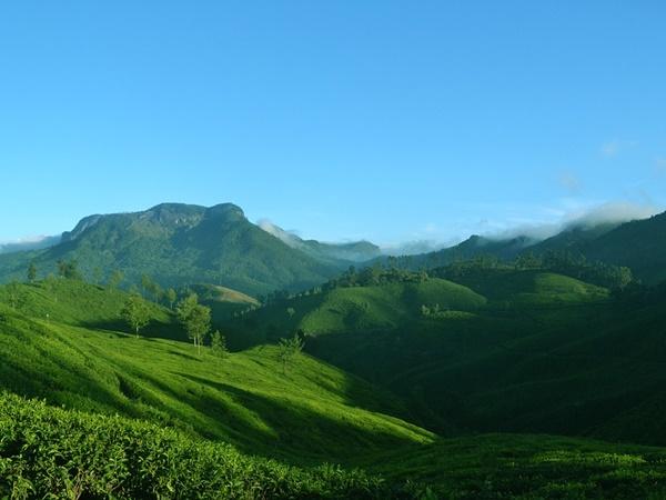 இயற்கையே சிறந்த கட்டுமானர்