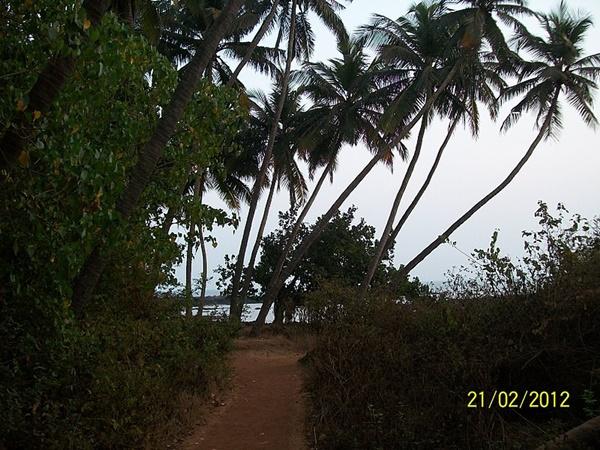 இயற்கை எழில்