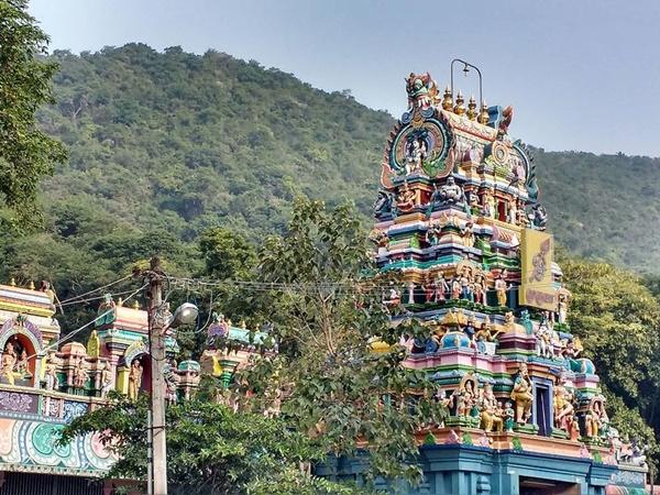 பழமுதிர்ச்சோலை