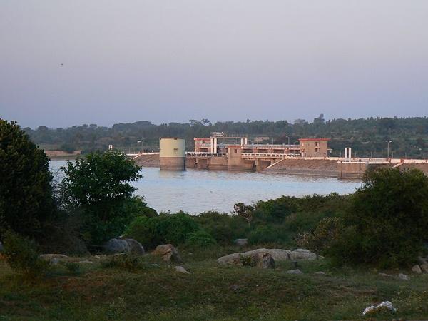 பறவைகளைக் காண்பது சிறப்பு