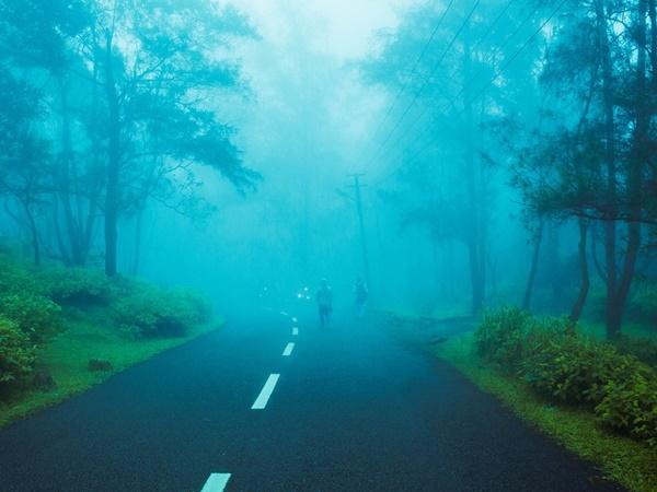 ஹனிமூன் ஜோடிகளுக்காகவே