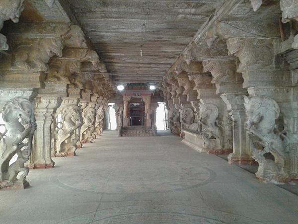 விஜயராகவப் பெருமாள் கோவில்