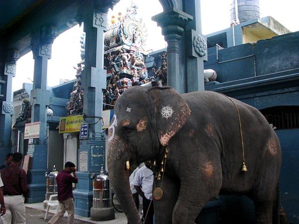 எங்கே உள்ளது ?