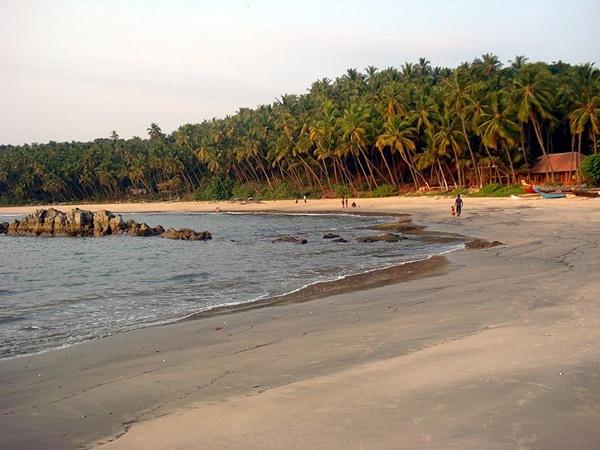 தென்னை மரங்களின் அரசாட்சி