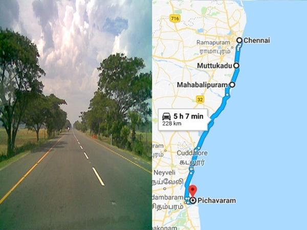 சென்னையிலிருந்து பிச்சாவரம்