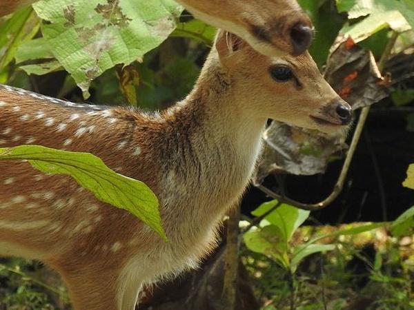 நுழைவுக் கட்டணம்