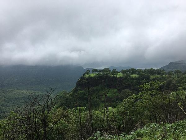 மேற்குத் தொடர்ச்சி மலை