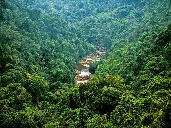 உலகின் மிக ஈரமான பகுதி