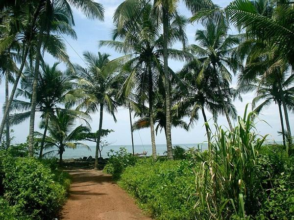 எங்கு தங்குவது