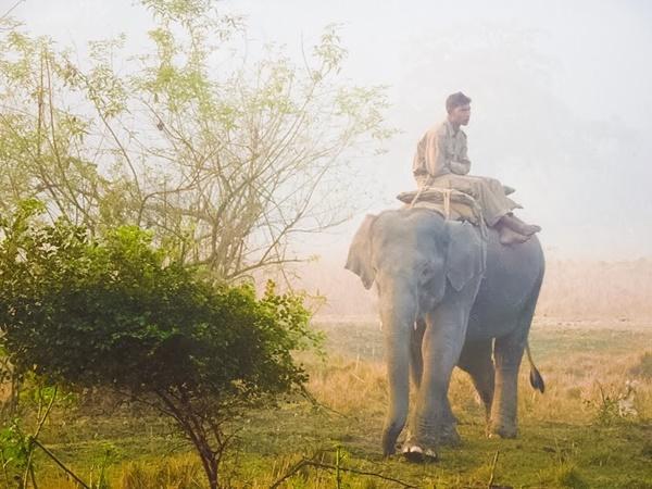 மற்ற விலங்குகளுக்கும் இது சிறப்பான புகலிடம்