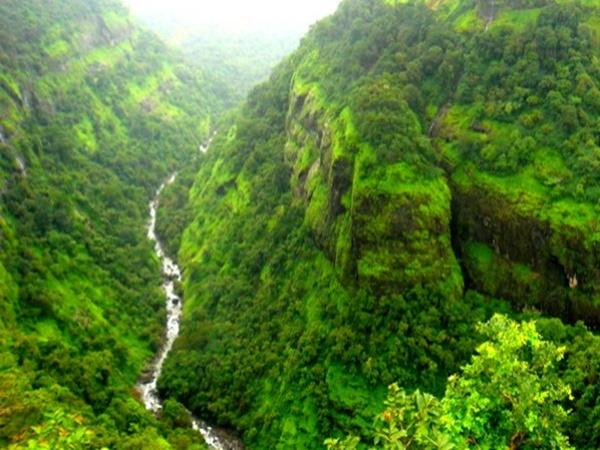 கர்ஜத்