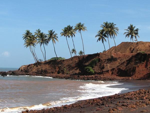 காணப்படும் இடங்கள்