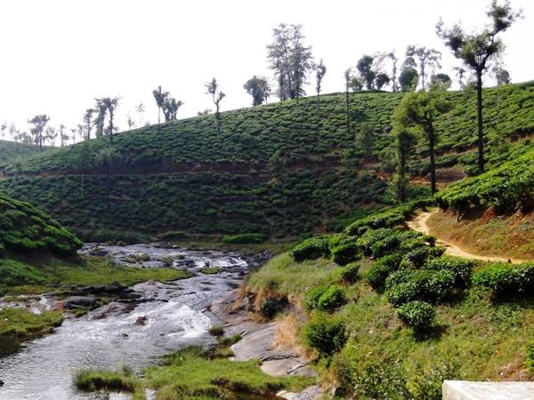 நல்லமுடி பூஞ்சோலை