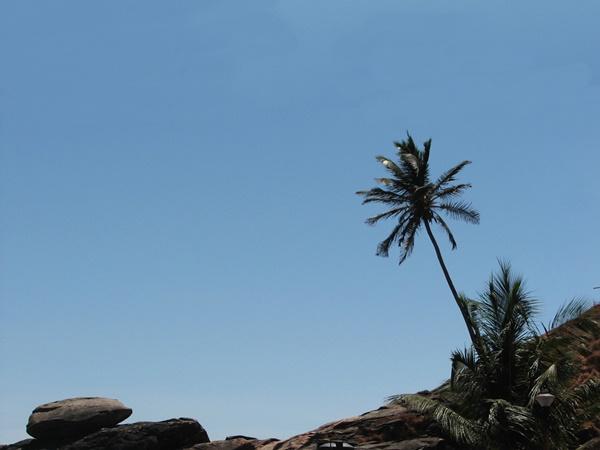 எங்கே இருக்கிறது