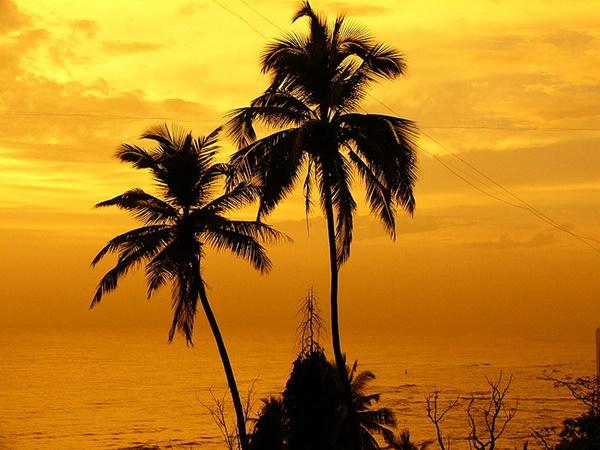 காதலர்கள் உலாவும் பேண்ட்ஸ்டாண்ட்