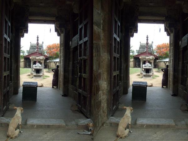 சிவ பெருமான்