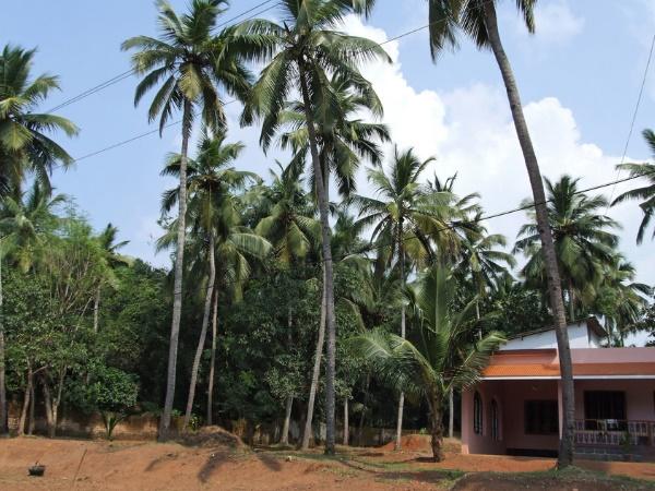 ரயிலும் விமானமும்