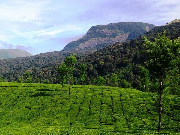 சக்தி தலனார் காட்சி