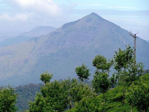 அட்டகட்டி காட்சி முனையம்