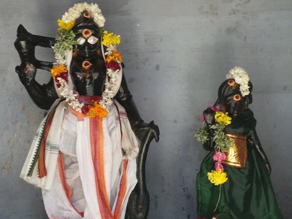 எரிந்து சாம்பலான மரம்