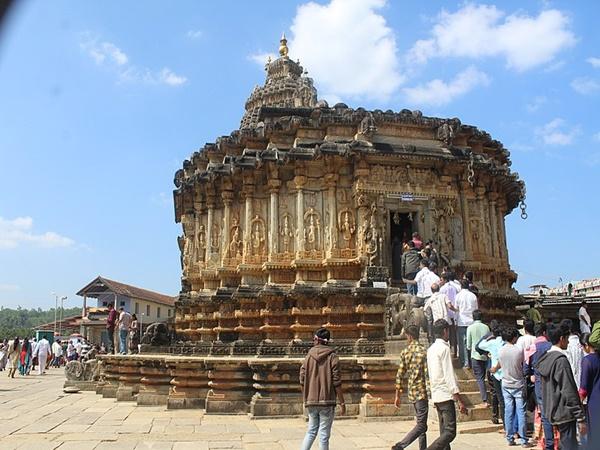 தவளைக்கு குடையான பாம்பு