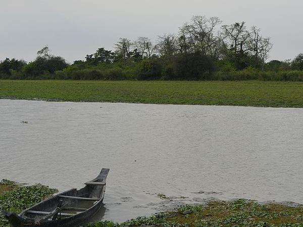 பரப்பளவு
