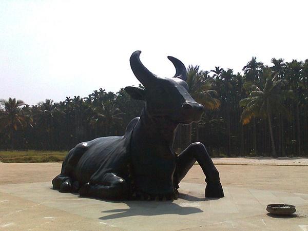கோவையைப் பற்றிய மற்ற சிறப்புகள்