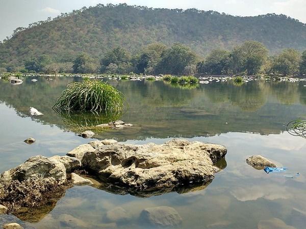தொட்டம்கலி மலையேற்றமும் பறவைகளும்