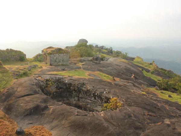 சிறப்பம்சங்கள்