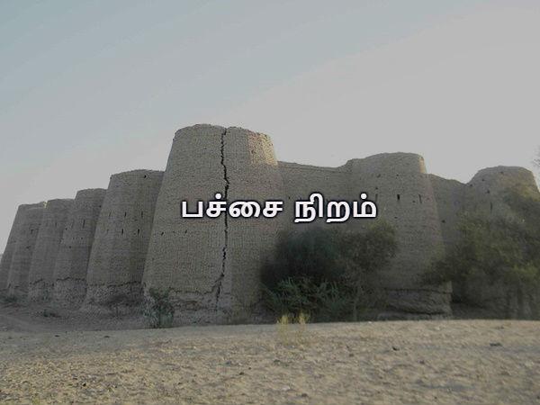 பச்சை நிறமும் இயற்கை காட்சிகளும்