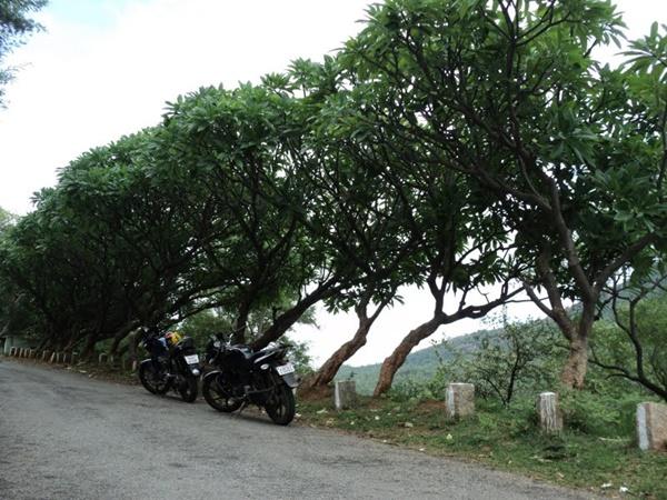 முததியில் ஒரு பரிசல் பயணம் போகலாமா? முததியில் ஒரு பரிசல் பயணம் போகலாமா?