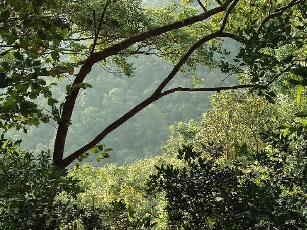 எங்குள்ளது அந்த நிலக்கல்