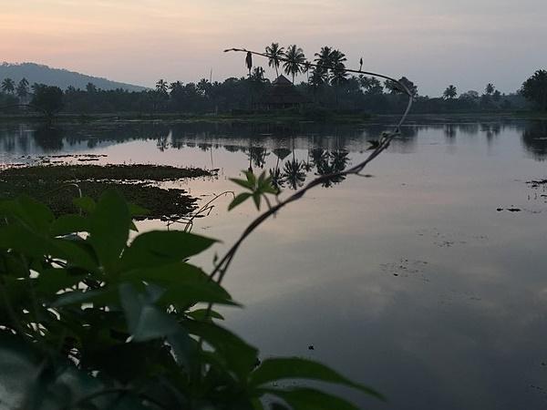 பாகுபலிக்கு 42 அடியில் ஆடையற்ற சிலை - கர்கலாவில் சுற்றலாம் வாங்க! பாகுபலிக்கு 42 அடியில் ஆடையற்ற சிலை - கர்கலாவில் சுற்றலாம் வாங்க!