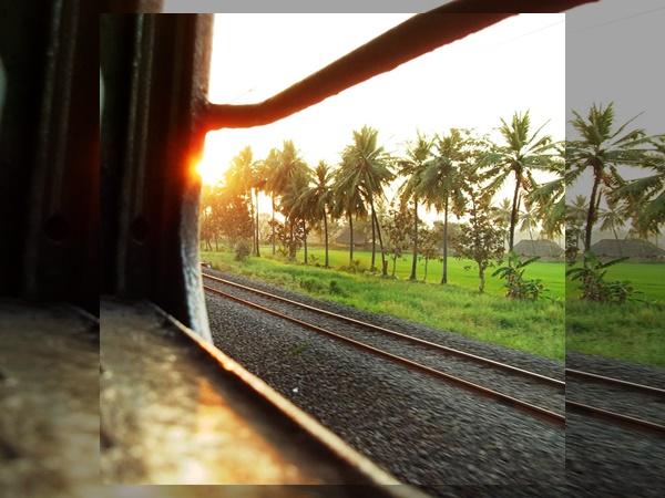 கிரிசோலா