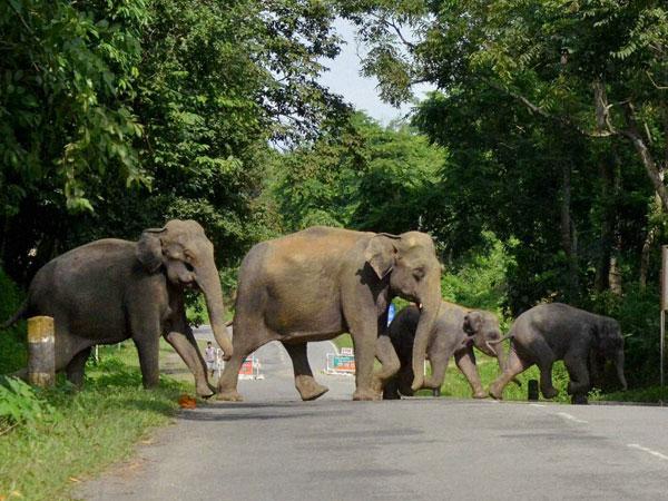 சுற்றுலா அம்சங்கள்