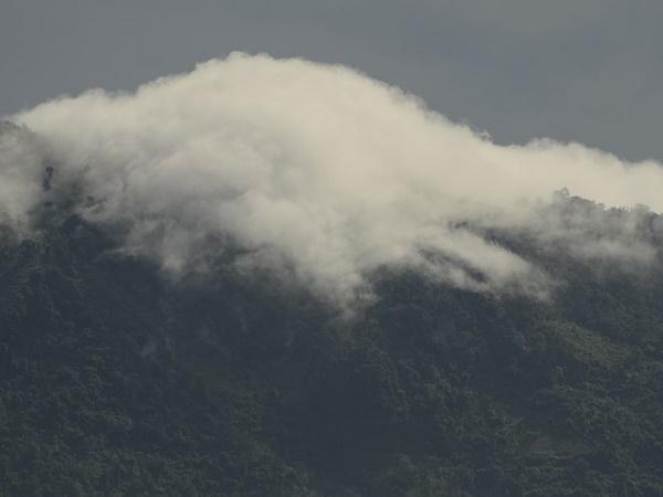 இதன் சிறப்பு