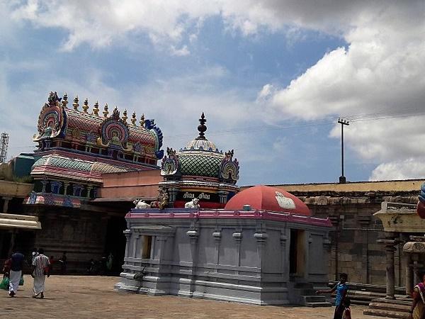 எப்படிச் செல்வது ?