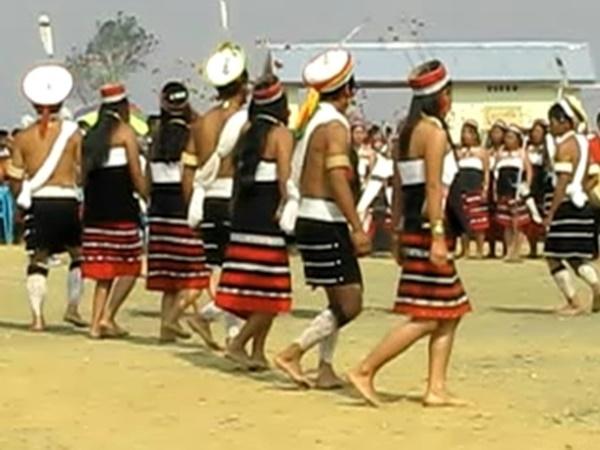 பசுமையும் அழகும்
