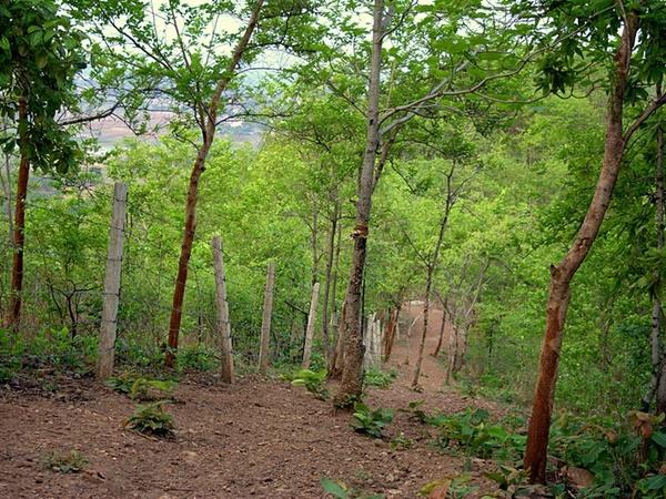 ஆசியாவின் முதல் கண்காணிப்பு காமிரா