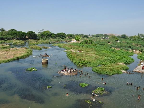 விழா கோலாகலம்