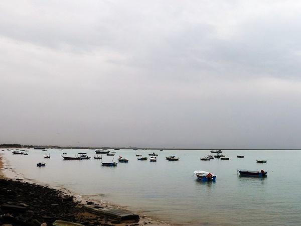 கொணார்க்
