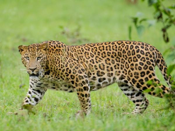 நிபந்தனைகளும் விதிகளும்