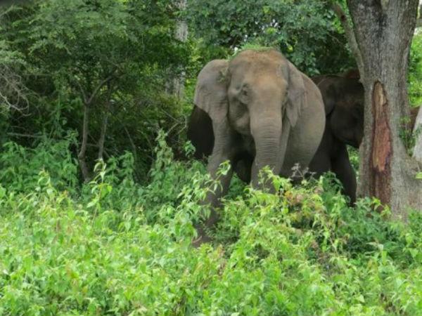 மீறப்படும் விதிமுறைகள்
