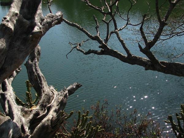 காவ்லிகர் கோட்டை