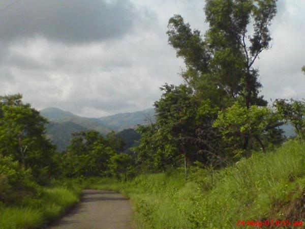 பைனாவு