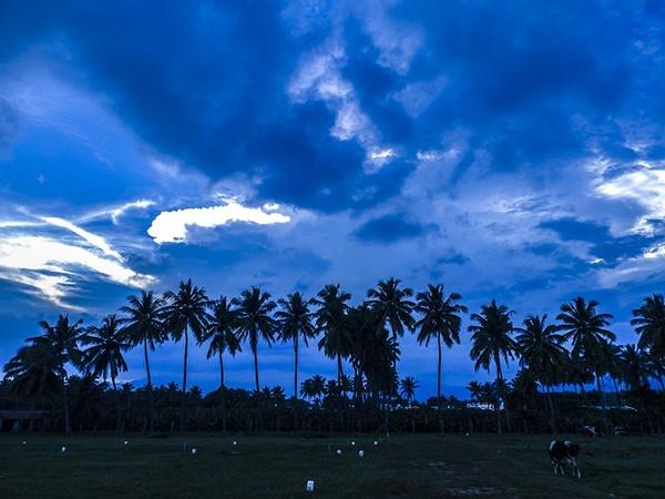 கோயம்புத்தூரில் என்னென்ன இருக்கு