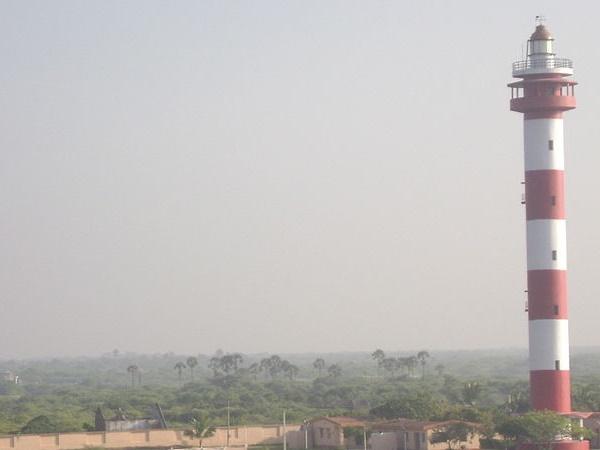 பறவைகள் காணுதல்