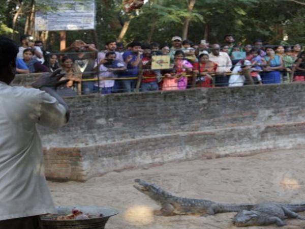 எங்குள்ளது