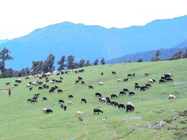 சோப்தாவின் அழகிய 5 புகைப்படங்கள்